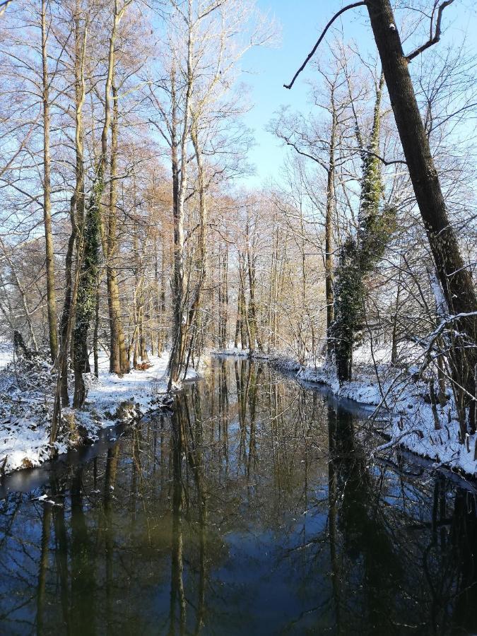 Gruener Wald Apartment Burg Kauper Екстериор снимка