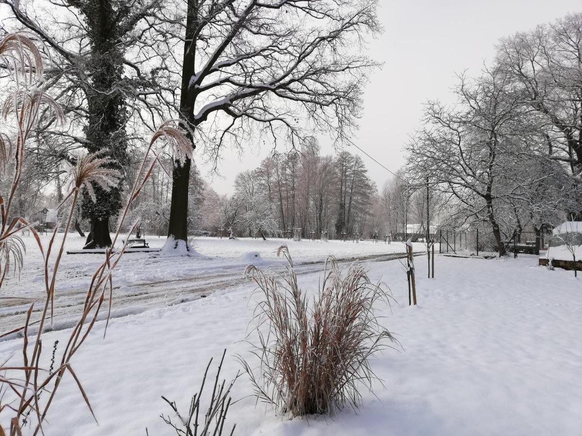 Gruener Wald Apartment Burg Kauper Екстериор снимка